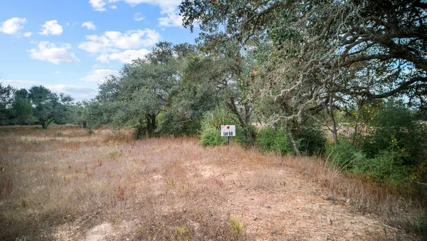 a view of a forest with trees in the background