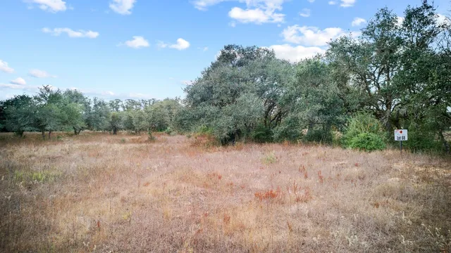 a view of a field with trees in the background