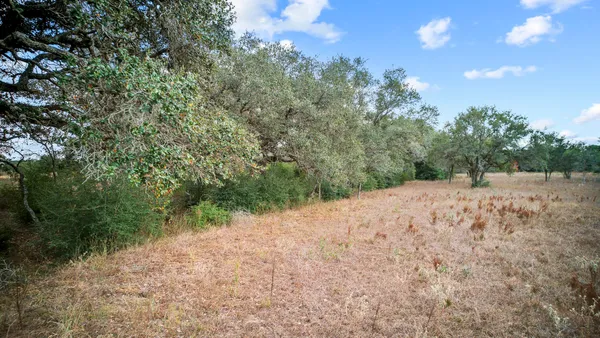 a view of a dirt road with trees in the background