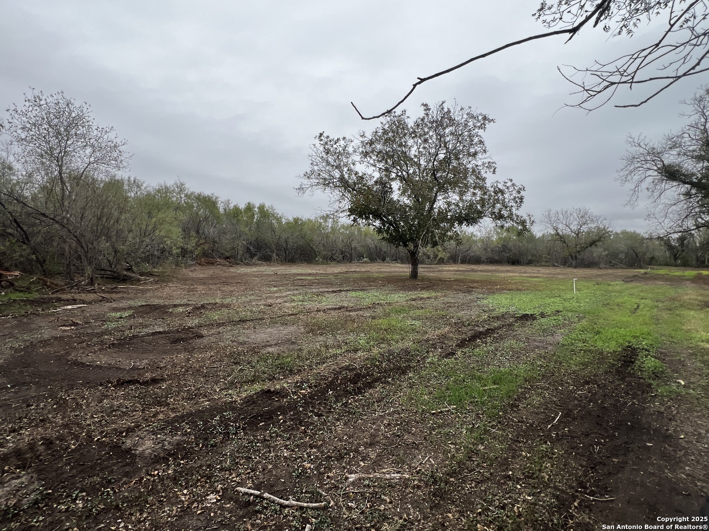 304 County Road 6611, Unit 1 Devine, TX 78016 - Photo 11 of 12