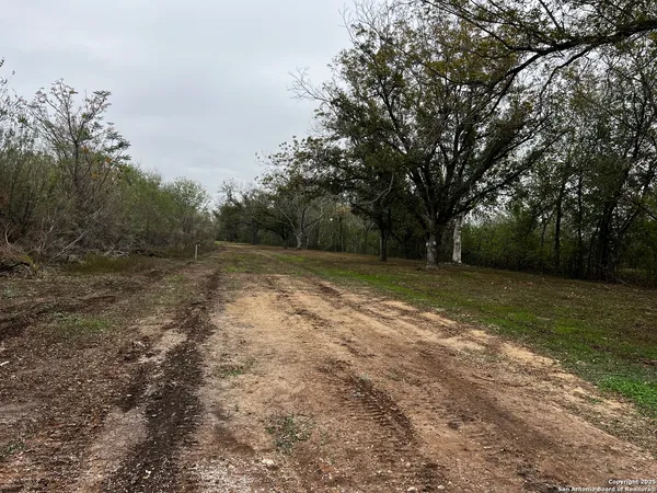 a view of backyard with green space