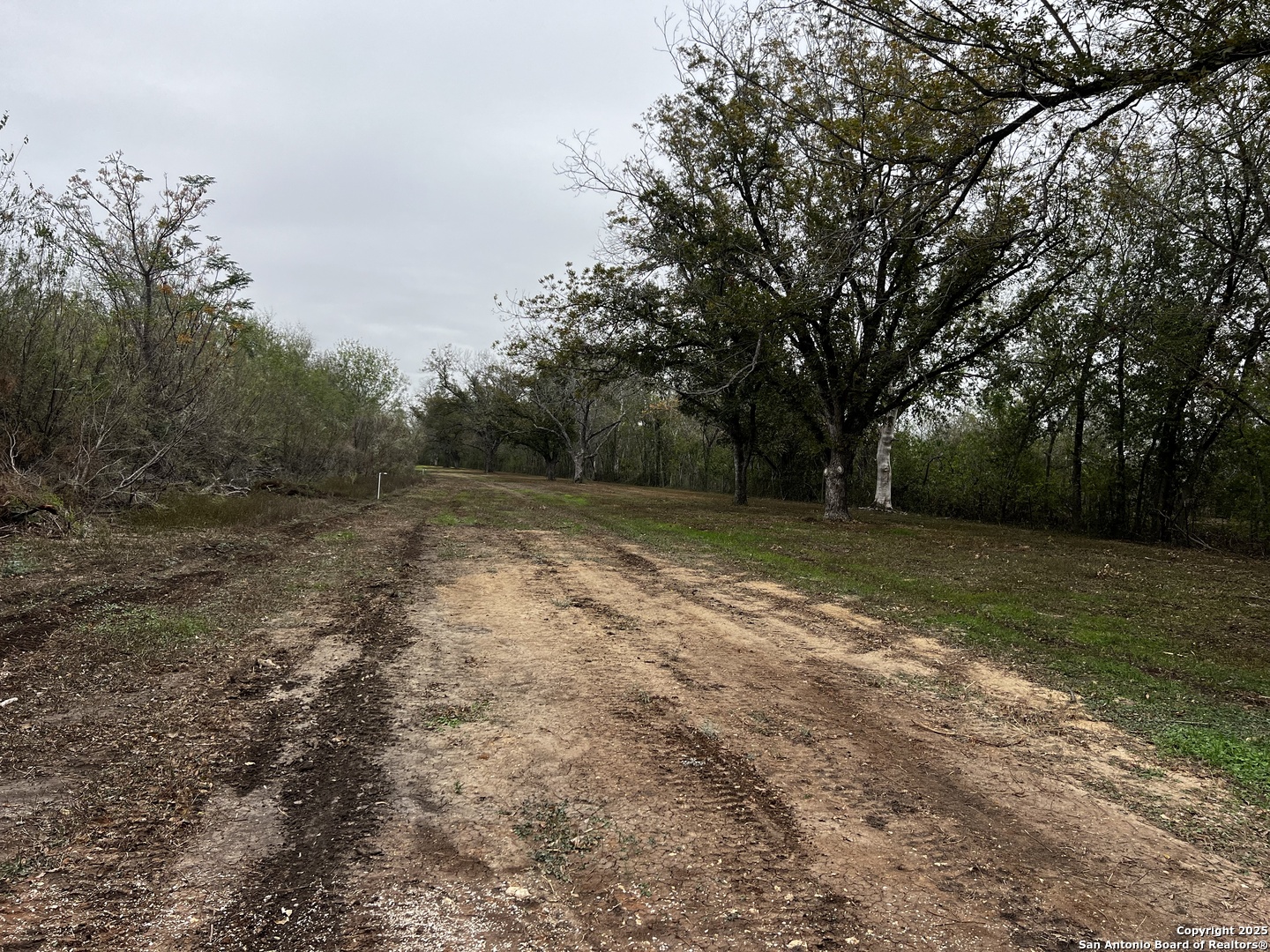 304 County Road 6611, Unit 1 Devine, TX 78016 - Photo 3 of 11