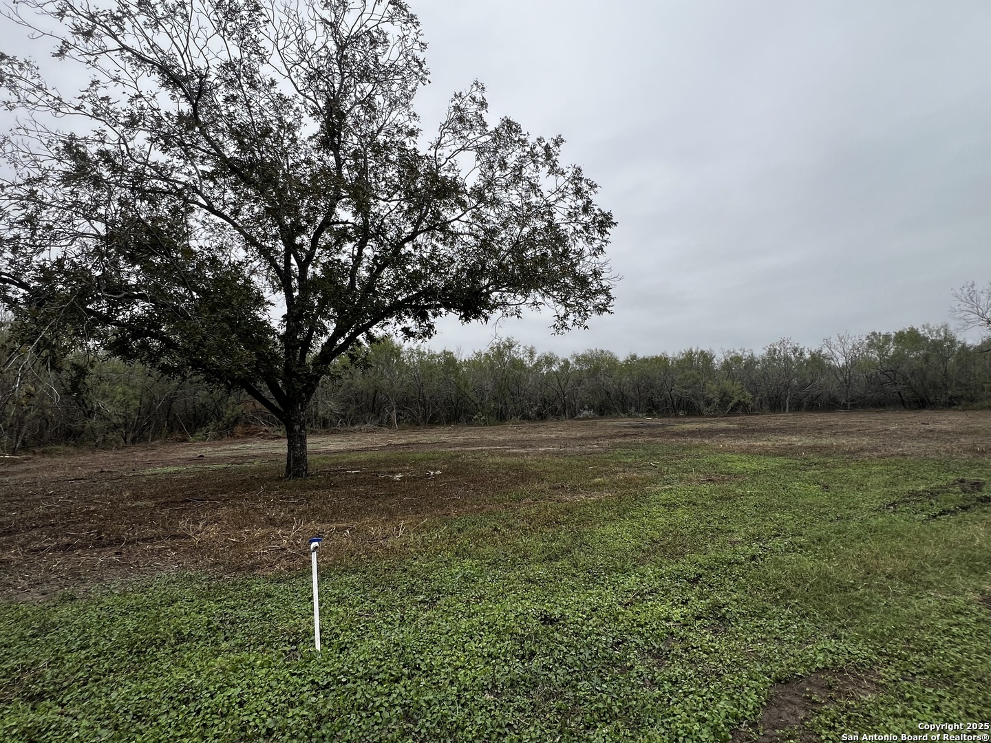 304 County Road 6611, Unit 1 Devine, TX 78016 - Photo 4 of 11