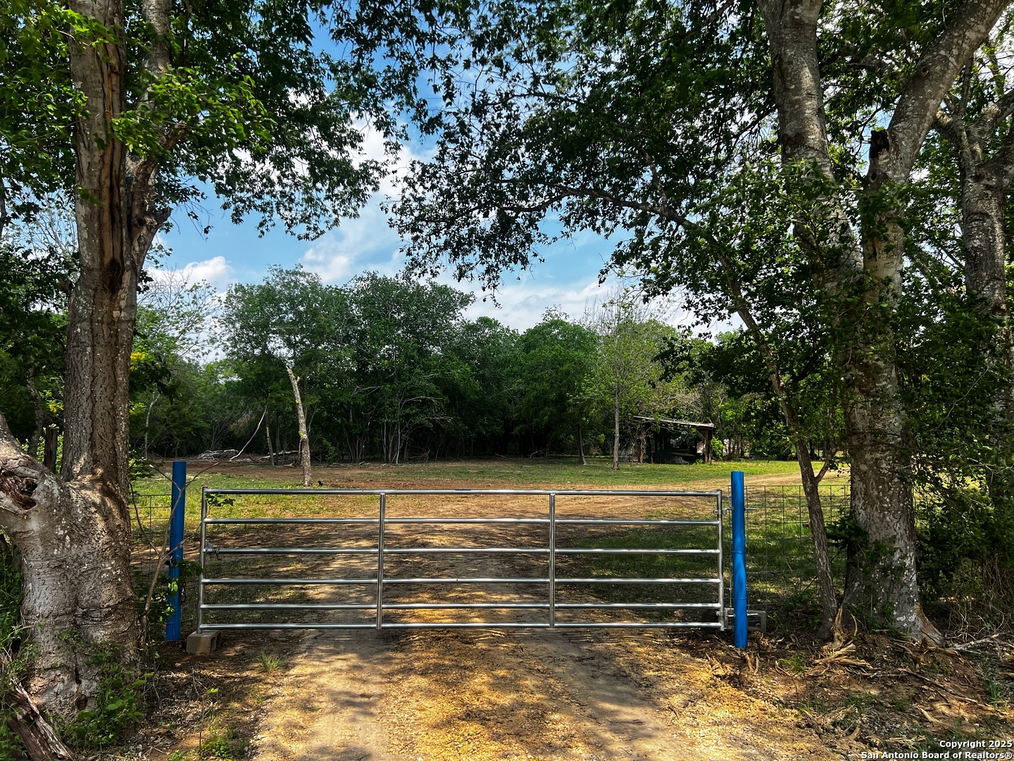 304 County Road 6611, Unit 1 Devine, TX 78016 - Photo 4 of 12