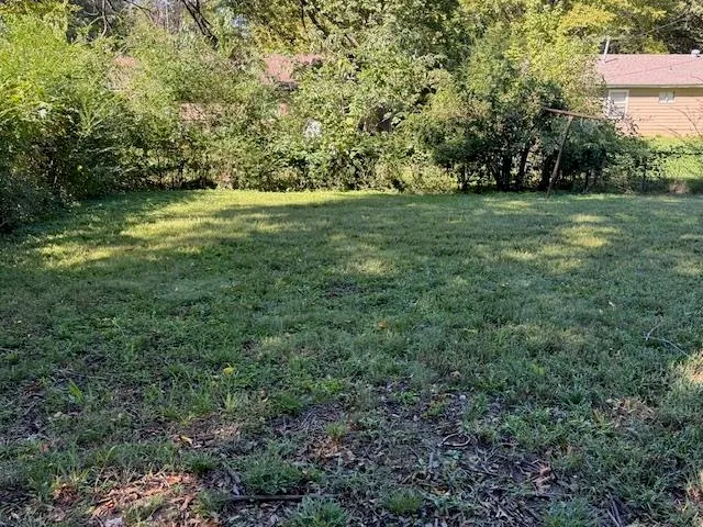 a view of a grassy field with trees in the background