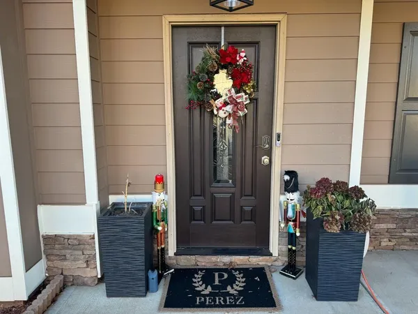 a couple of flower plants in front of door