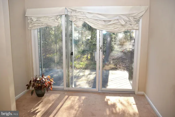 a view of a glass door and potted plants