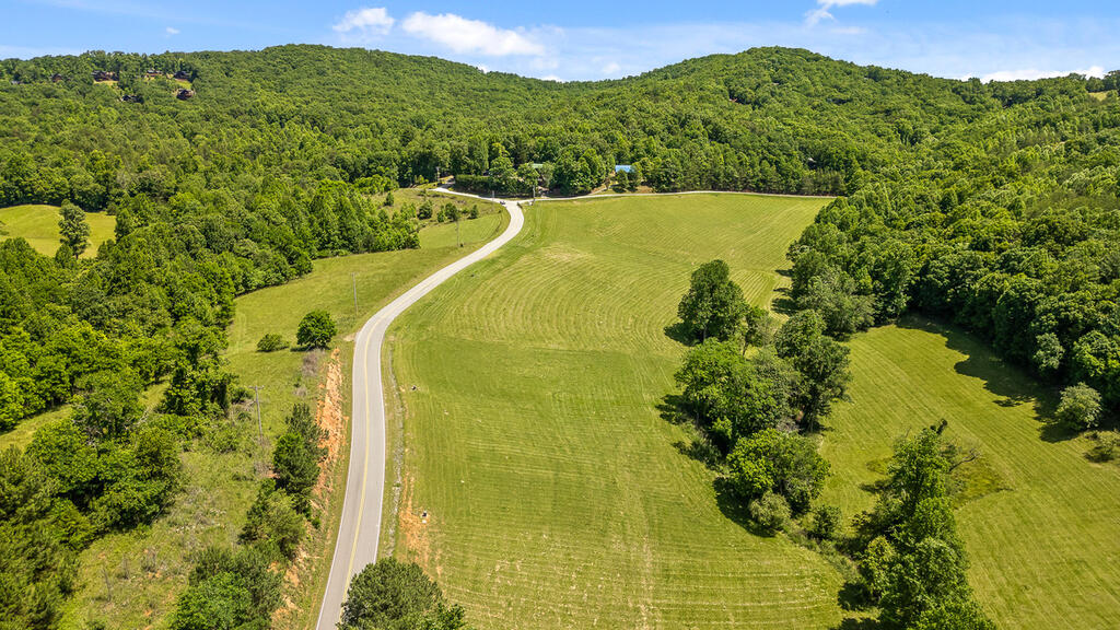 Lot 12 Squirrel Hunting Road Morganton, GA 30560 - Photo 4 of 14 Gallery Image 4
