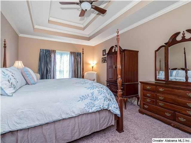 22578 Iron Masters Loop McCalla, AL 35111 - Photo 20 of 32