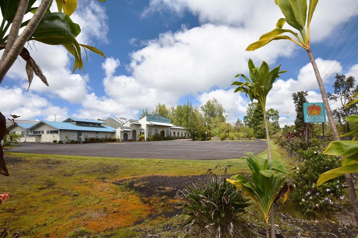 30 Kaleponi Road Pahoa, HI 96778 - Photo 13 of 21