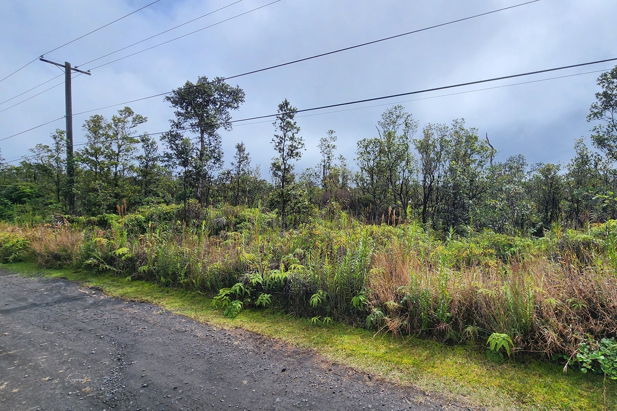 30 Kaleponi Road Pahoa, HI 96778 - Photo 2 of 21