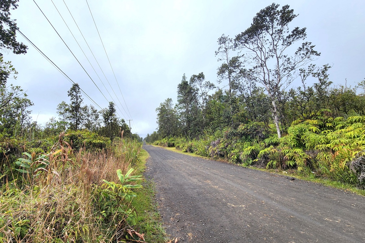 30 Kaleponi Road Pahoa, HI 96778 - Photo 3 of 21