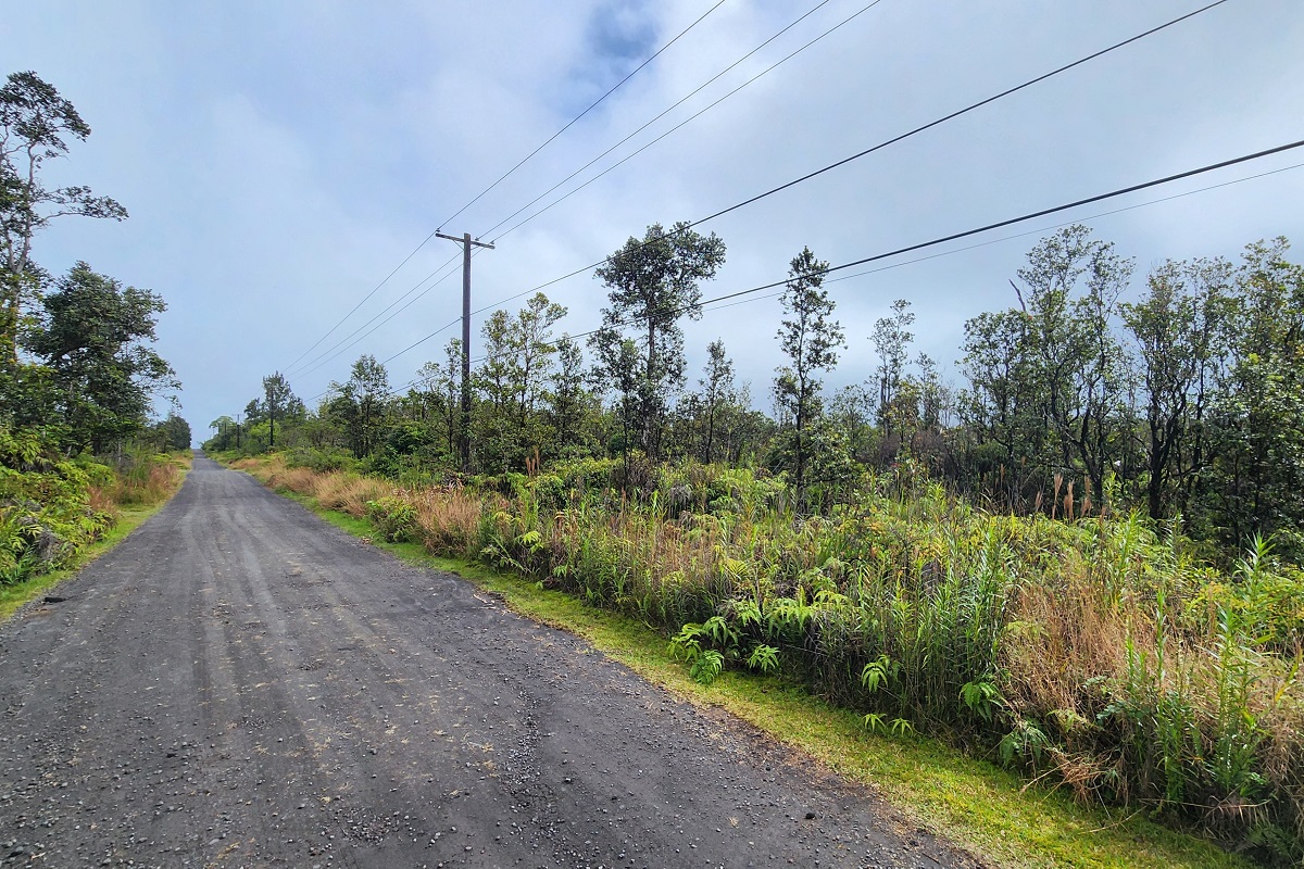 30 Kaleponi Road Pahoa, HI 96778 - Photo 4 of 21