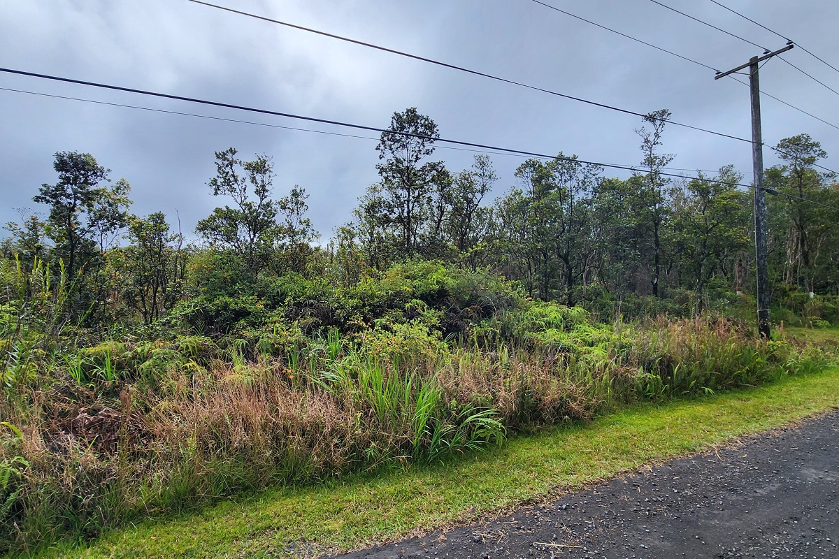 30 Kaleponi Road Pahoa, HI 96778 - Photo 6 of 21