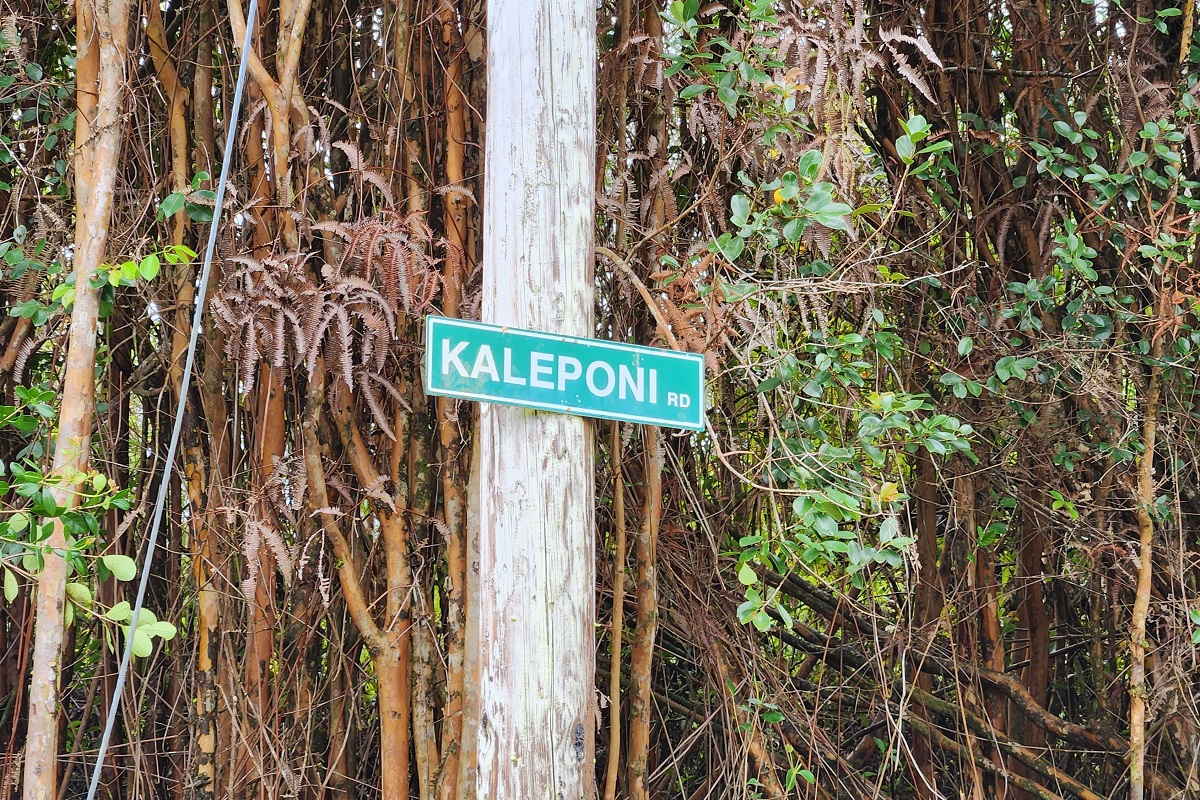 30 Kaleponi Road Pahoa, HI 96778 - Photo 8 of 21