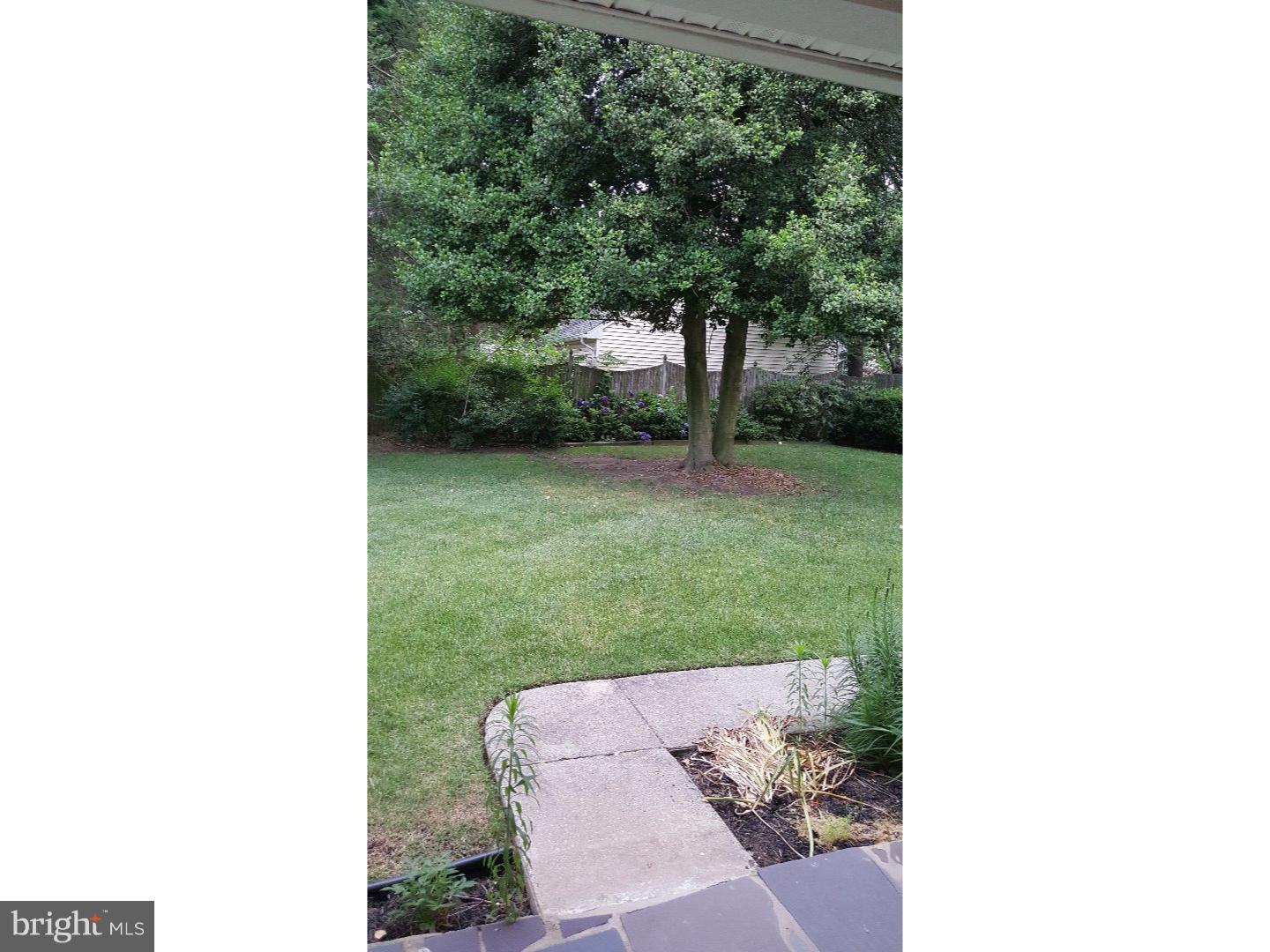 20 Lenape Road Cherry Hill, NJ 08002 - Photo 23 of 23 Back Yard