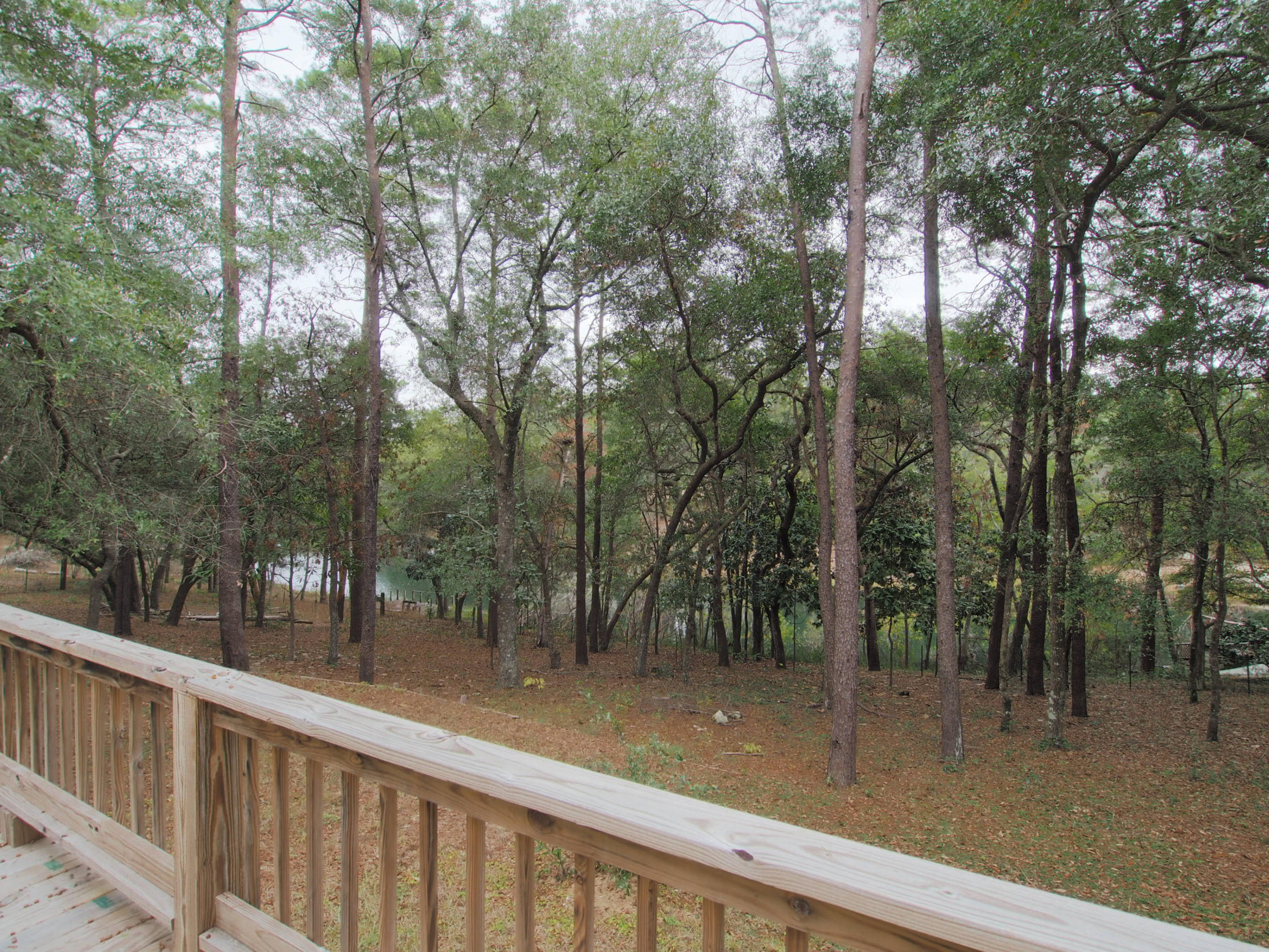 240 Roberts Road East DeFuniak Springs, FL 32433 - Photo 24 of 26 a view of a forest with trees in the background