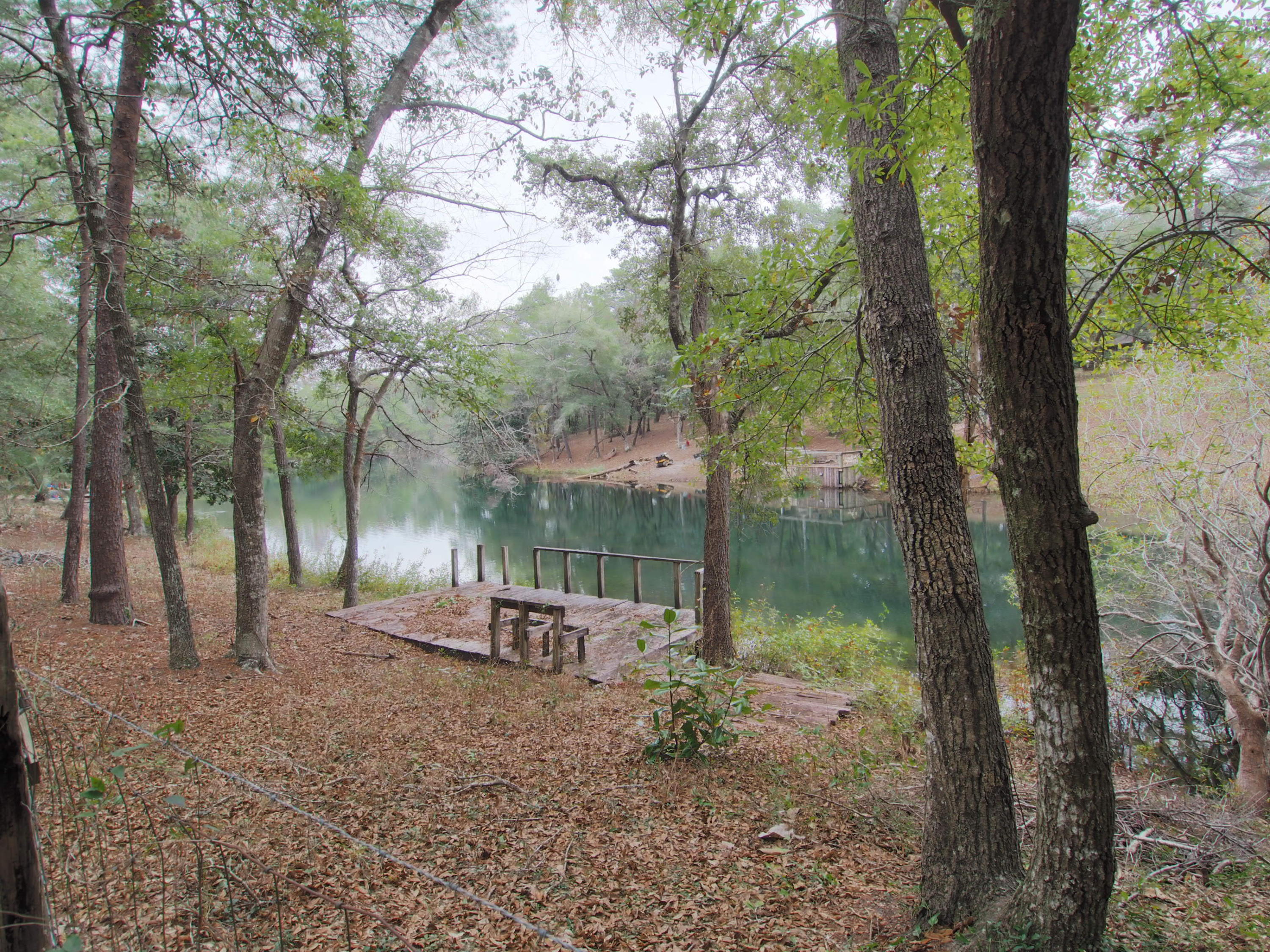 240 Roberts Road East DeFuniak Springs, FL 32433 - Photo 25 of 26 a backyard of a house with lots of green space