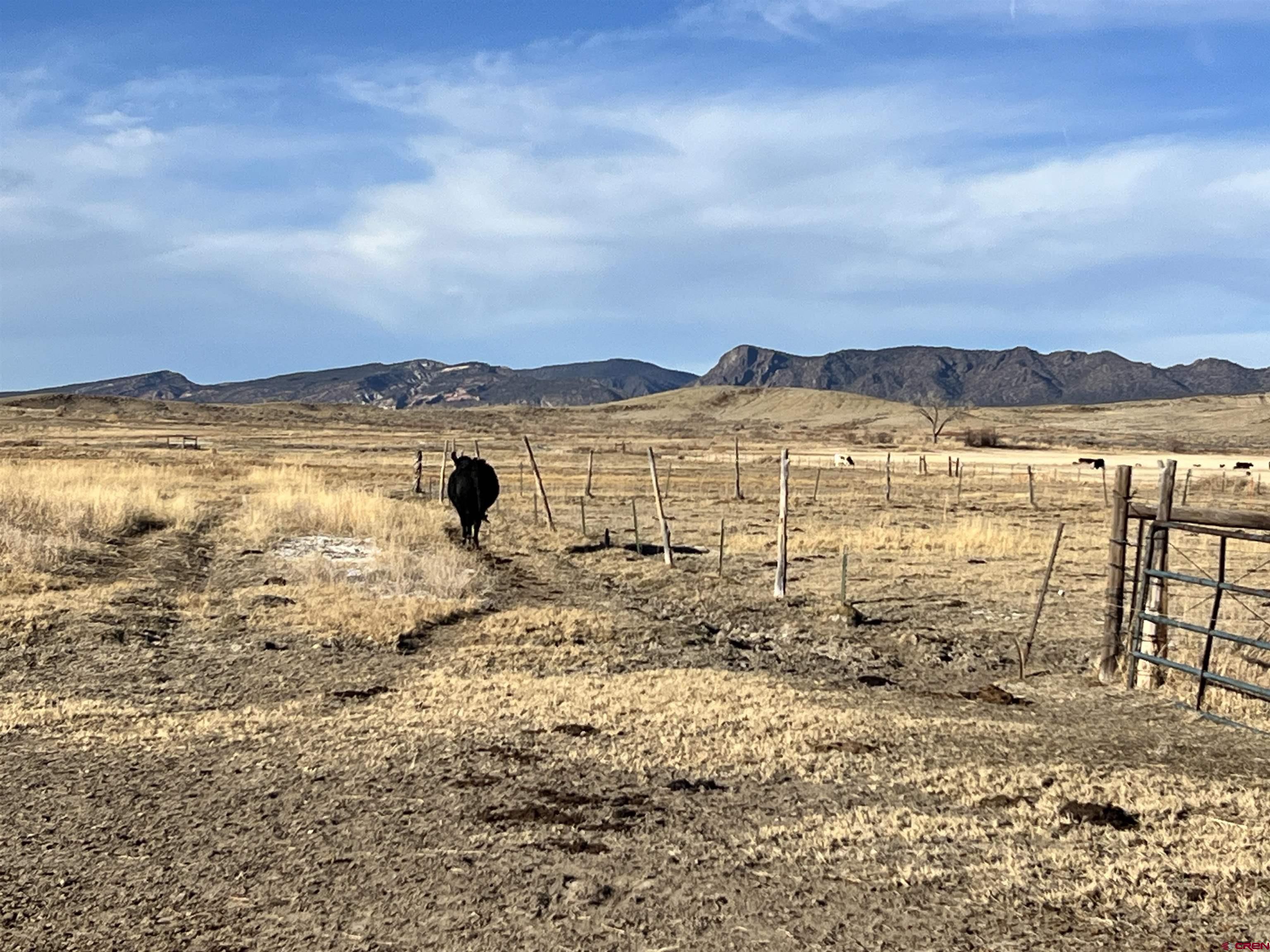 Tract A East Oak Grove Road Montrose, CO 81401 - Photo 8 of 12 a view of lake with mountain
