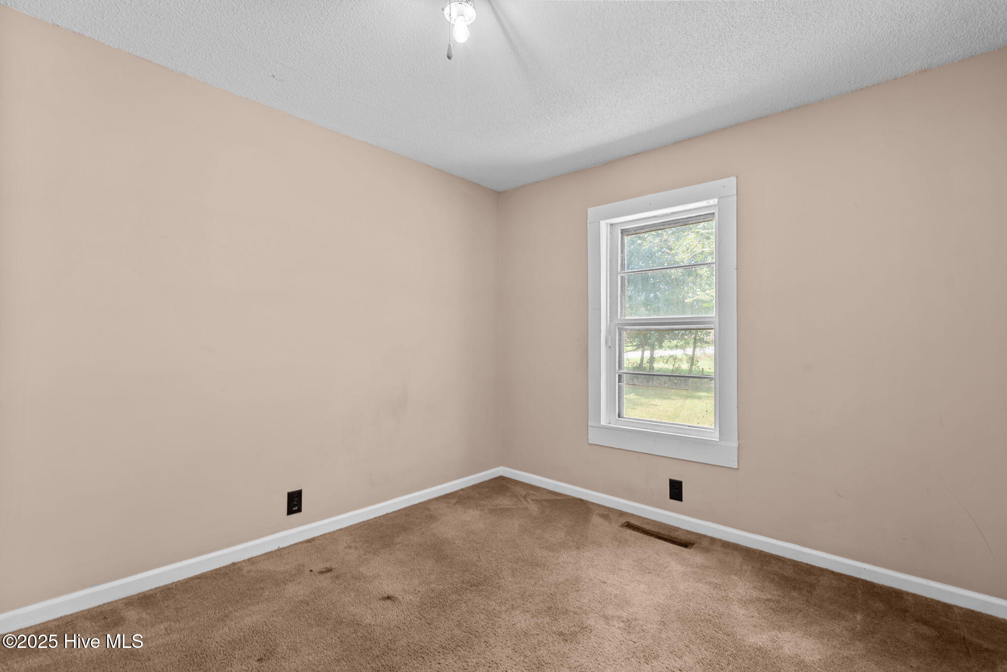 3458 Mitchell Ford Road Clarkton, NC 28433 - Photo 12 of 30 20-web-or-mls-DSC00749