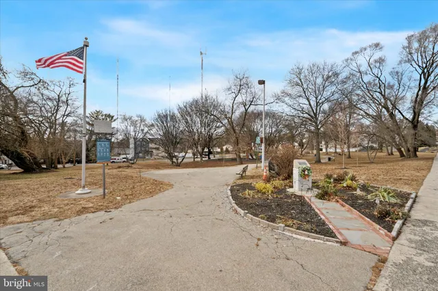 a park view with large trees