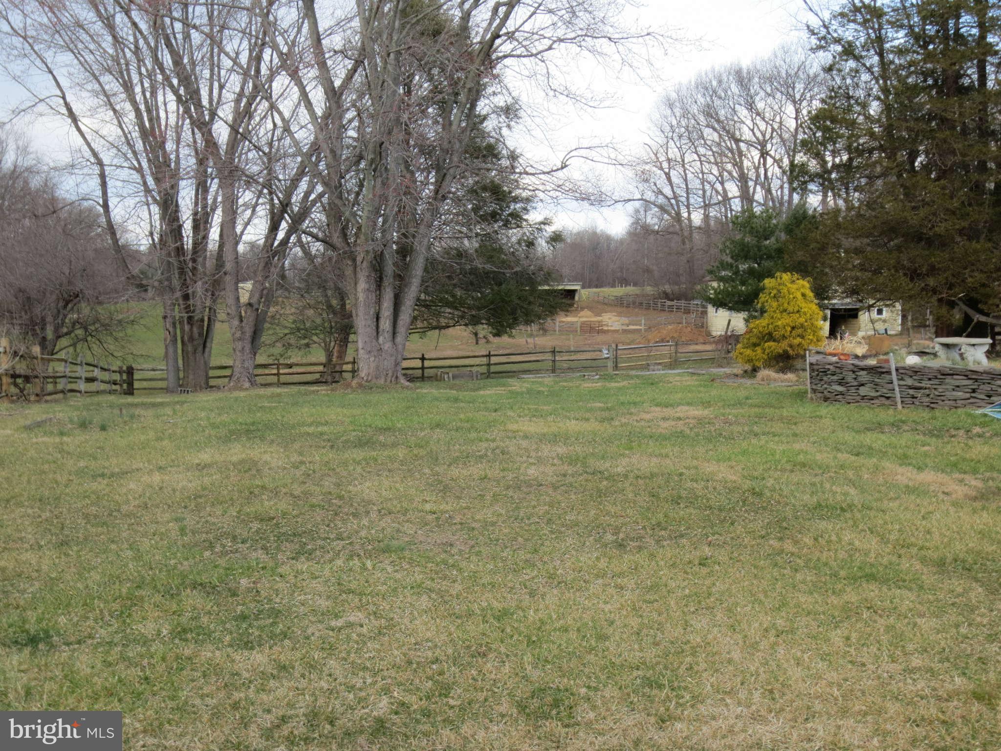 11474 Frederick Road Ellicott City, MD 21042 - Photo 5 of 27 Backyard