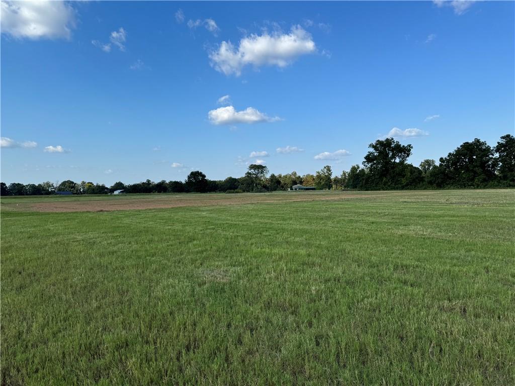 4520 Navy's Way Road Boyce, LA 71409 - Photo 14 of 21