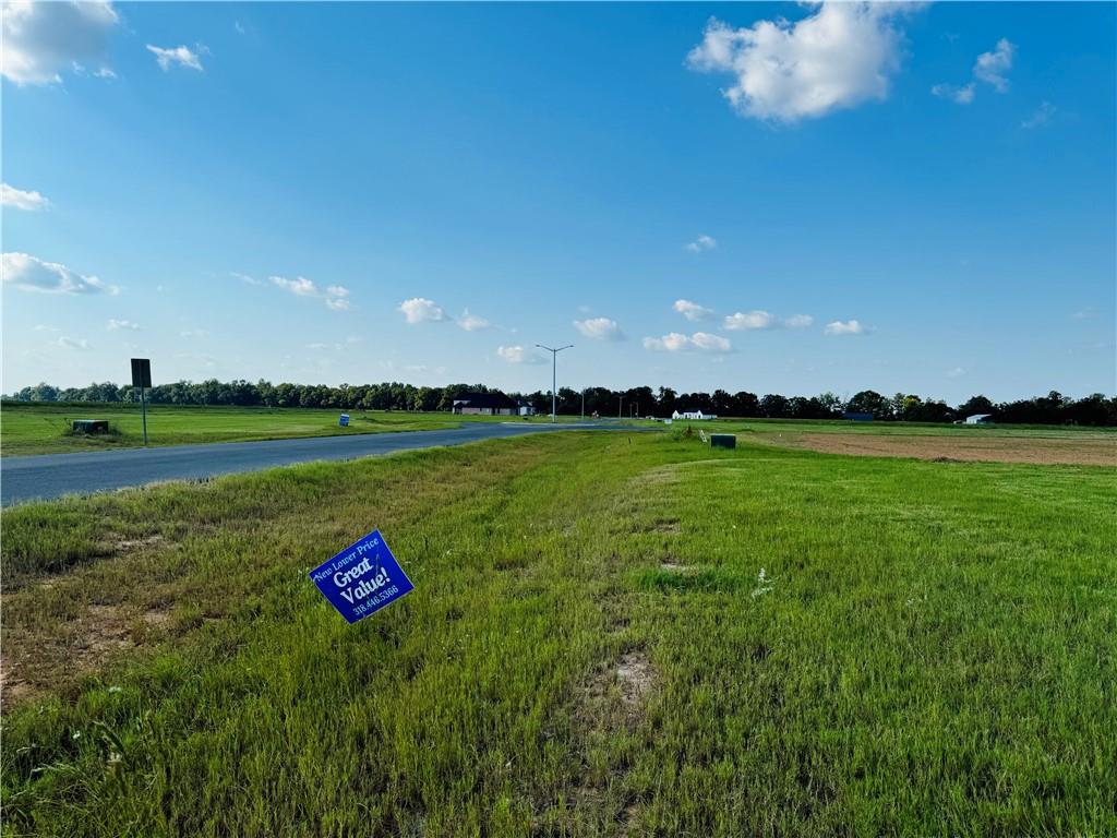 4520 Navy's Way Road Boyce, LA 71409 - Photo 20 of 21