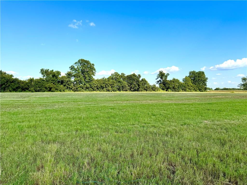 4520 Navy's Way Road Boyce, LA 71409 - Photo 21 of 21