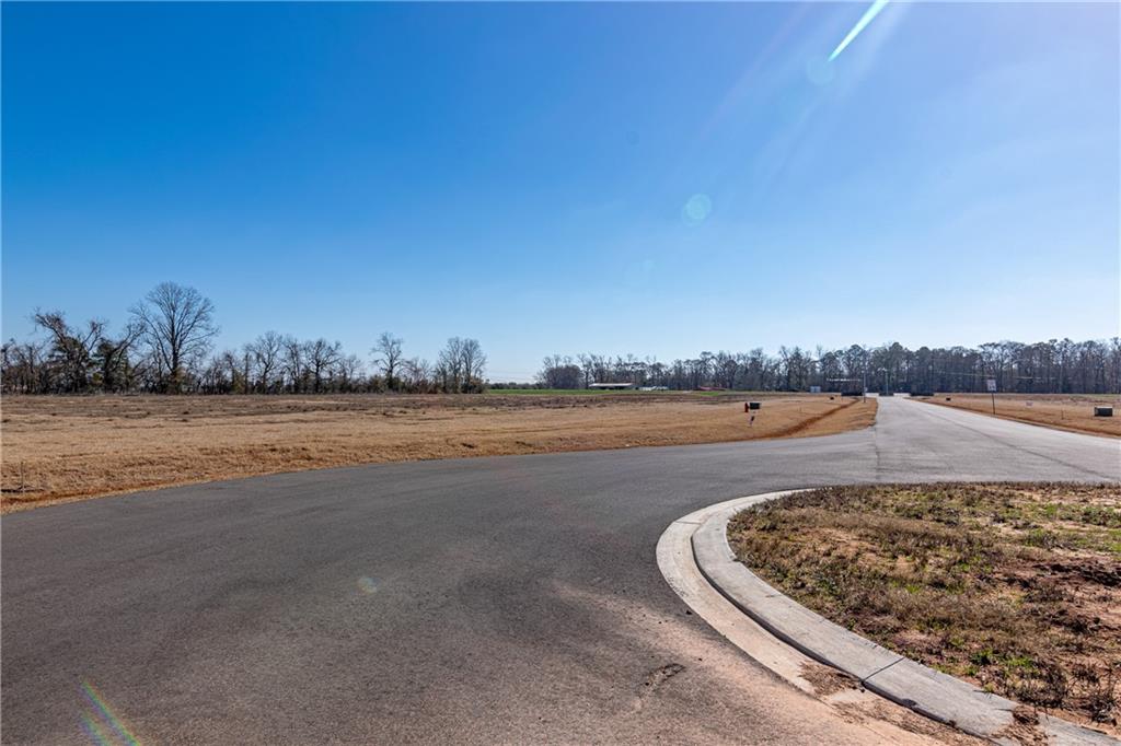 4520 Navy's Way Road Boyce, LA 71409 - Photo 3 of 21