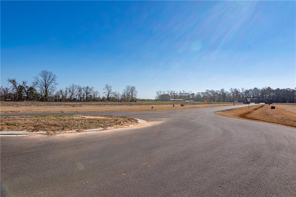4520 Navy's Way Road Boyce, LA 71409 - Photo 4 of 21