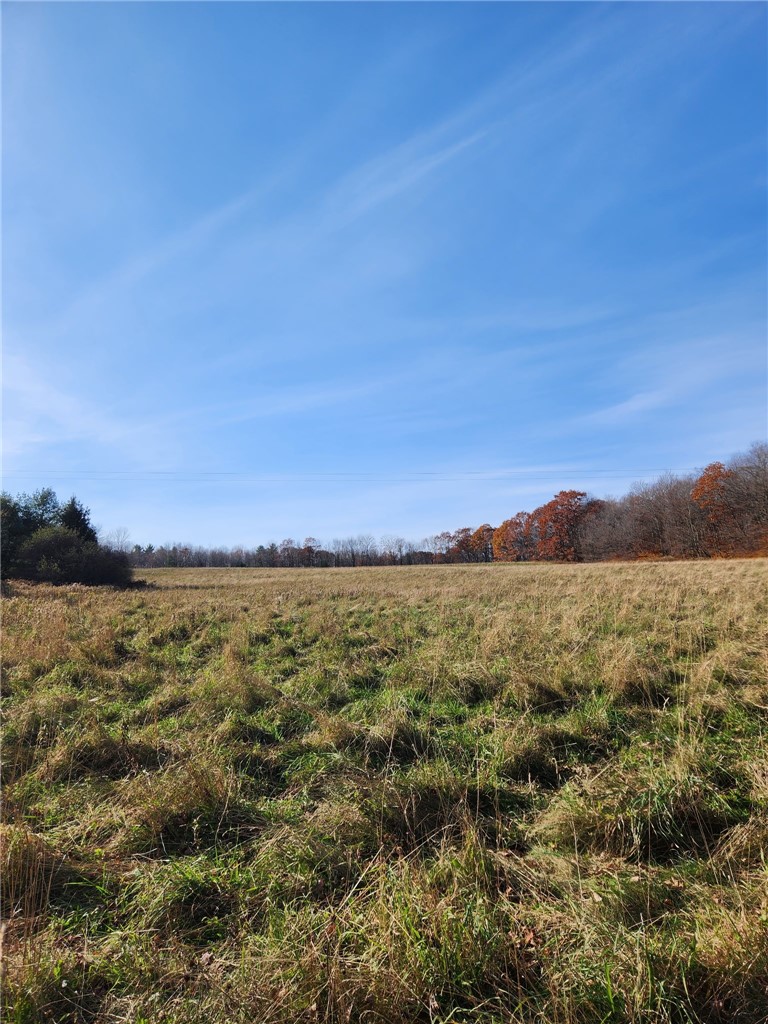 Wilbur Hill Road Unadilla, NY 13849 - Photo 3 of 7