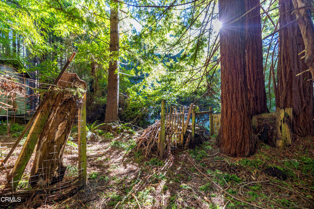 44720 Jack Peters Creek Road Mendocino, CA 95460 - Photo 12 of 12