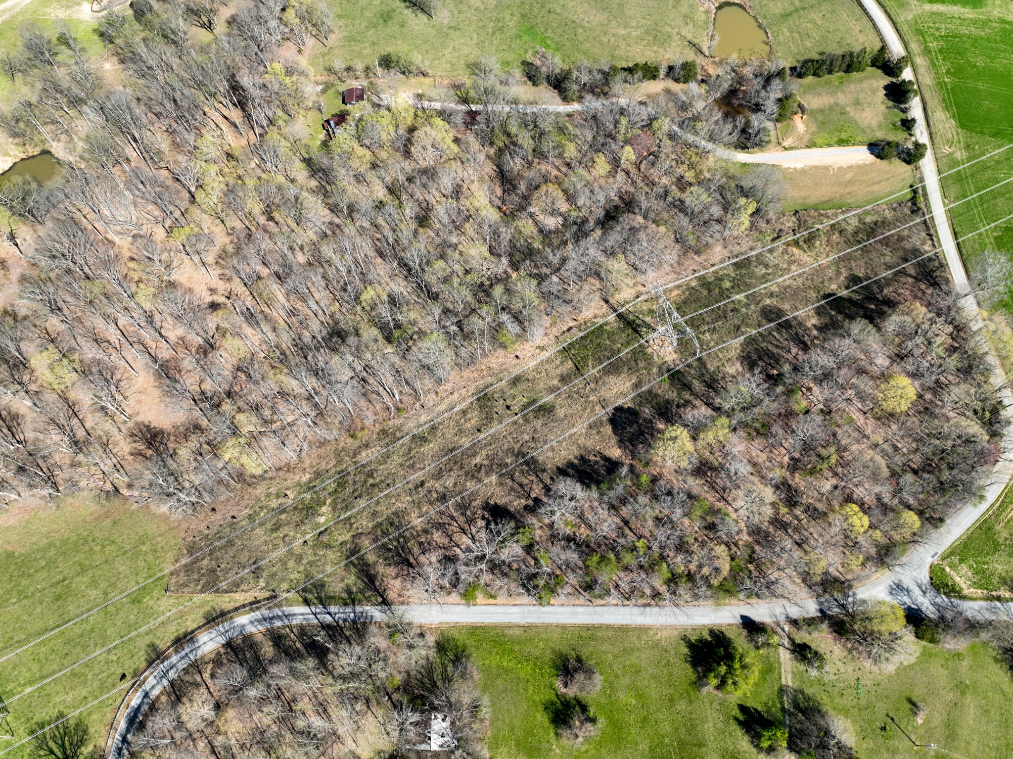 1090 Charlie Read Road South Chapmansboro, TN 37035 - Photo 60 of 67 Gallery Image 60