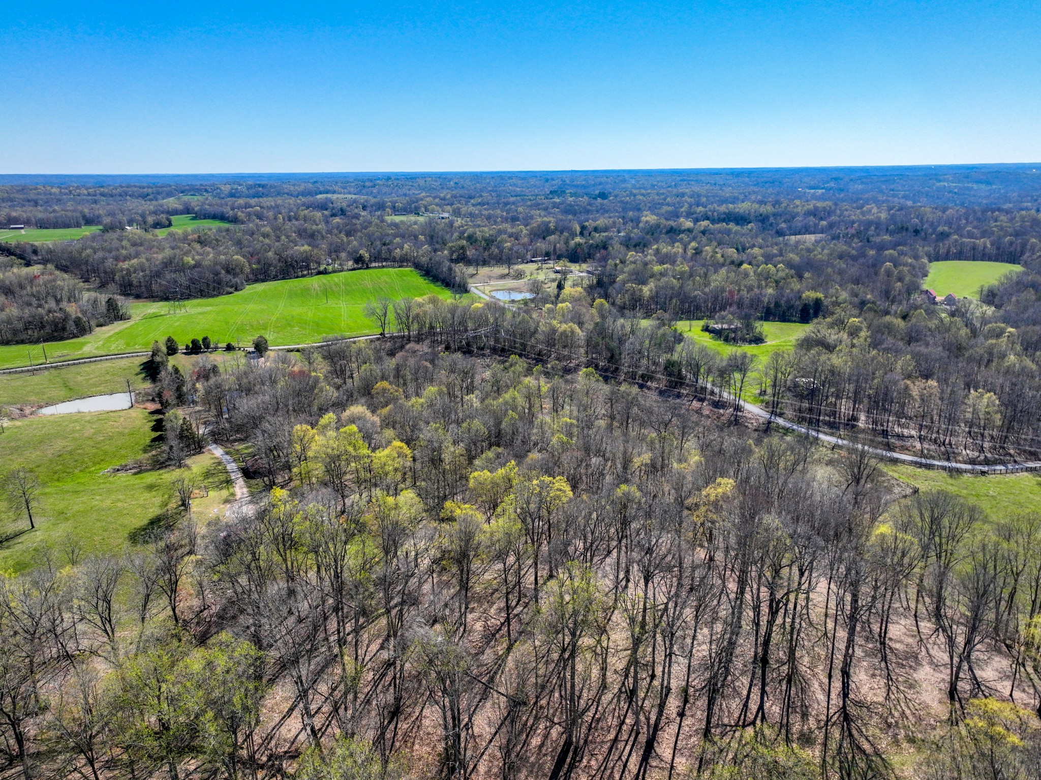 1090 Charlie Read Road South Chapmansboro, TN 37035 - Photo 64 of 67 Gallery Image 64