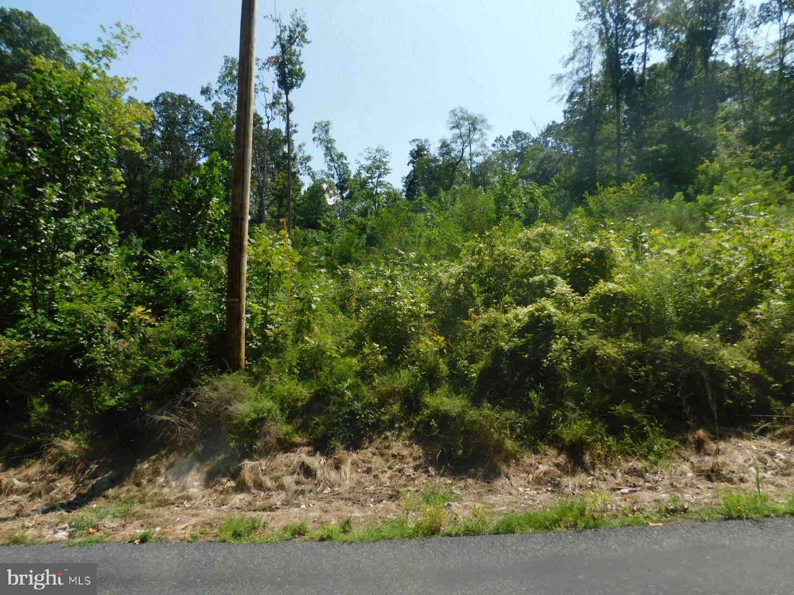 21 Spring Trail Fairfield, PA 17320 - Photo 2 of 6
