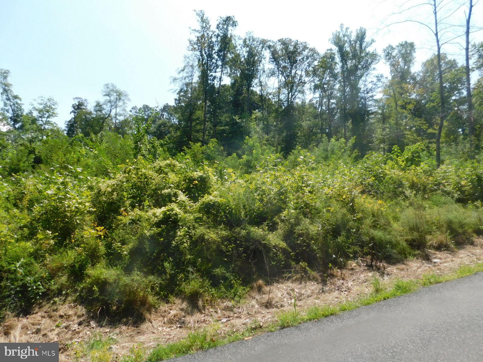 21 Spring Trail Fairfield, PA 17320 - Photo 4 of 6