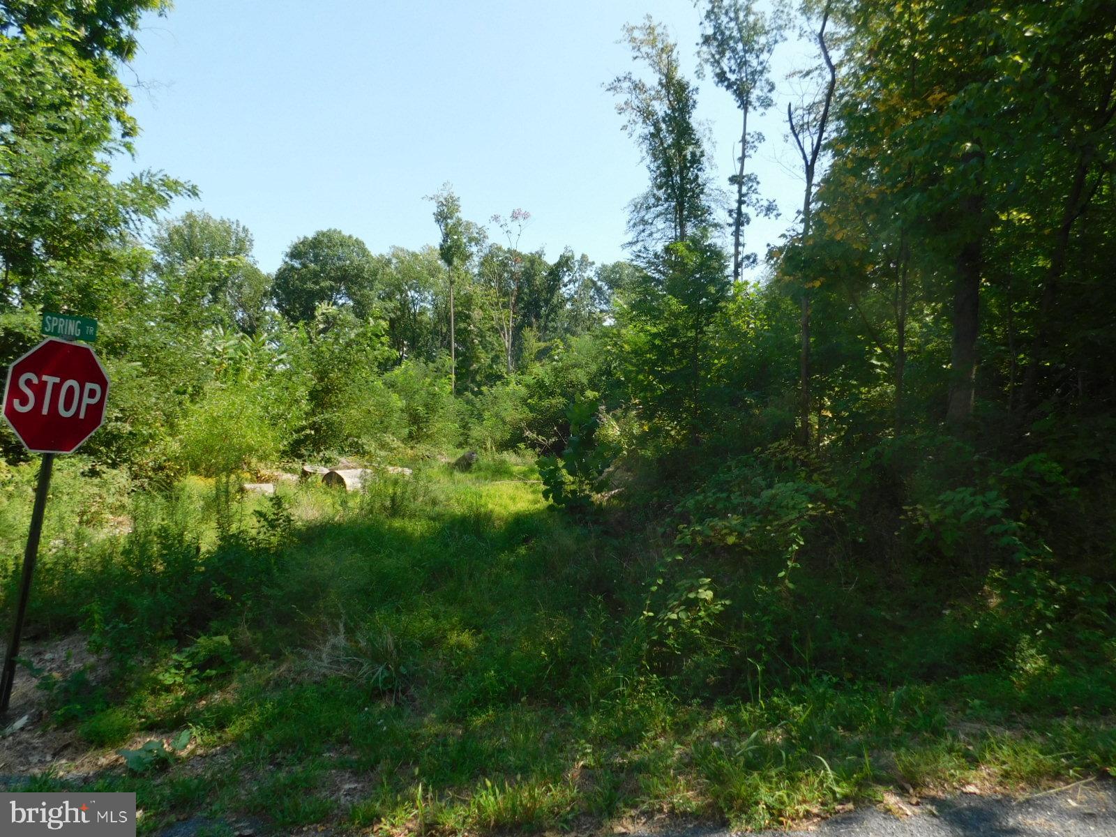 21 Spring Trail Fairfield, PA 17320 - Photo 5 of 6