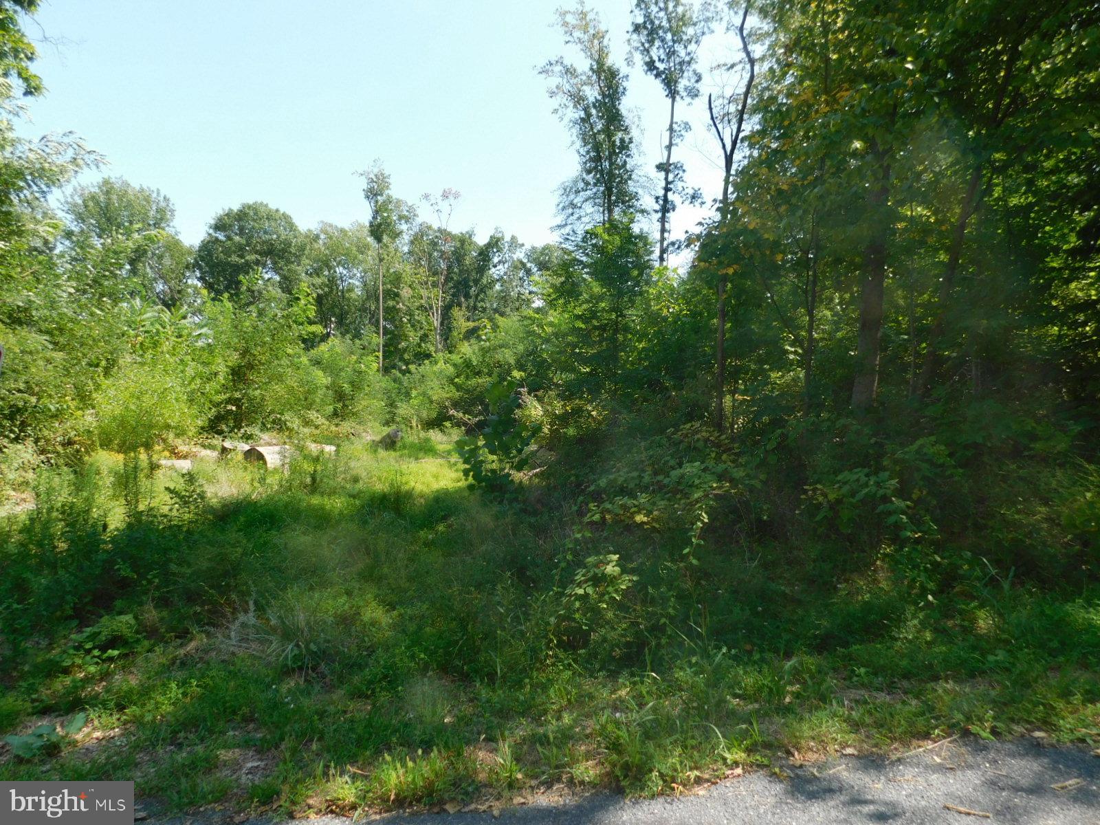 21 Spring Trail Fairfield, PA 17320 - Photo 6 of 6