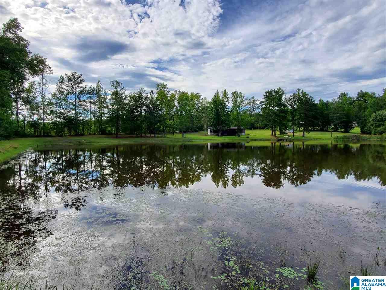395 Hollow Branch Road Rockford, AL 35136 - Photo 2 of 26