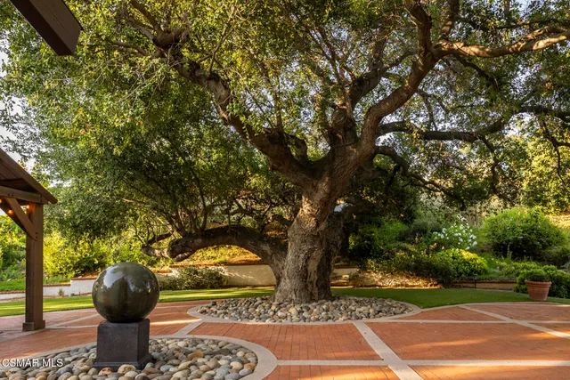 a view of yard with patio