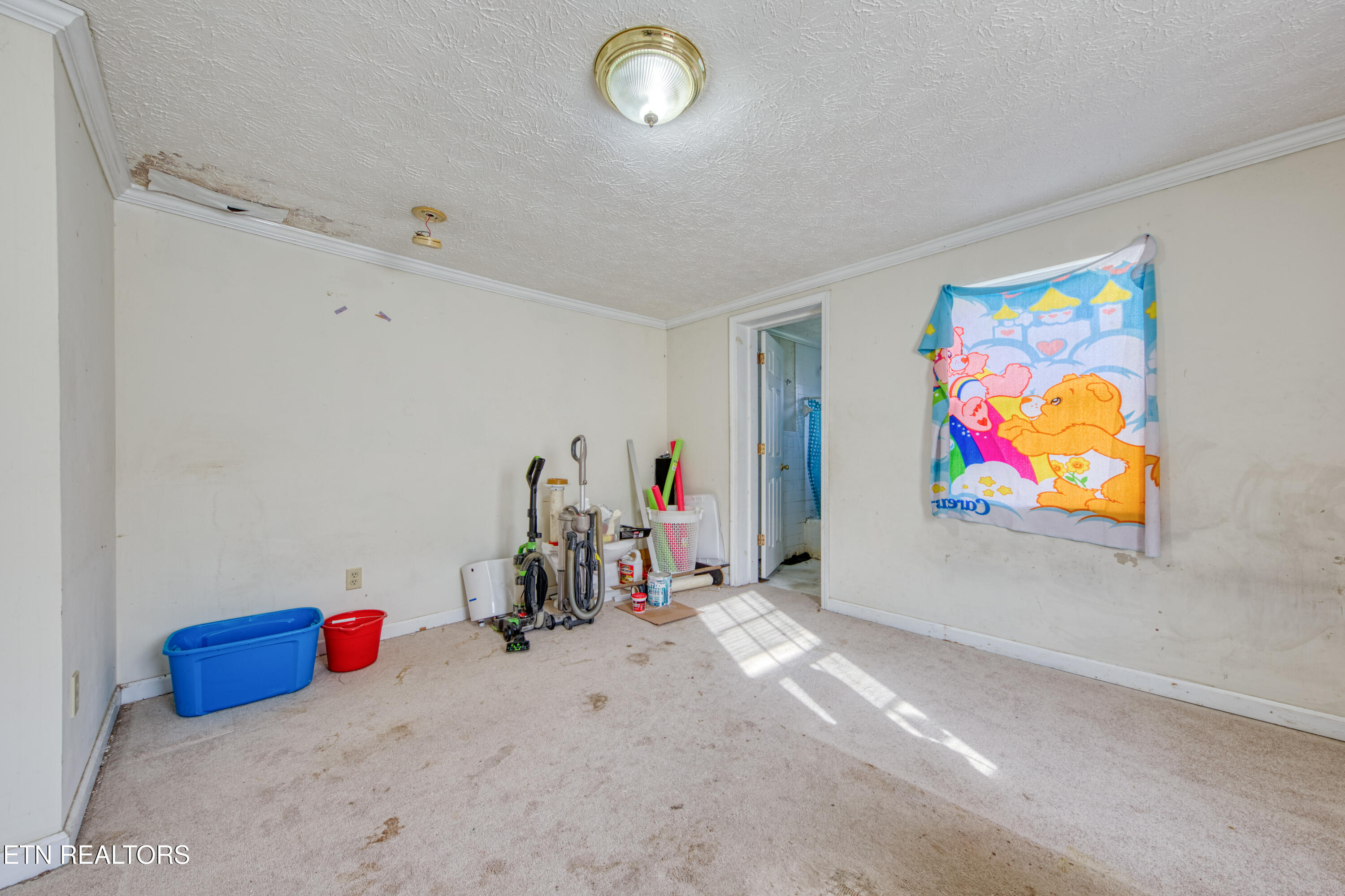 2225 Madison Road Northwest Knoxville, TN 37912 - Photo 6 of 15 0H3A2374_14