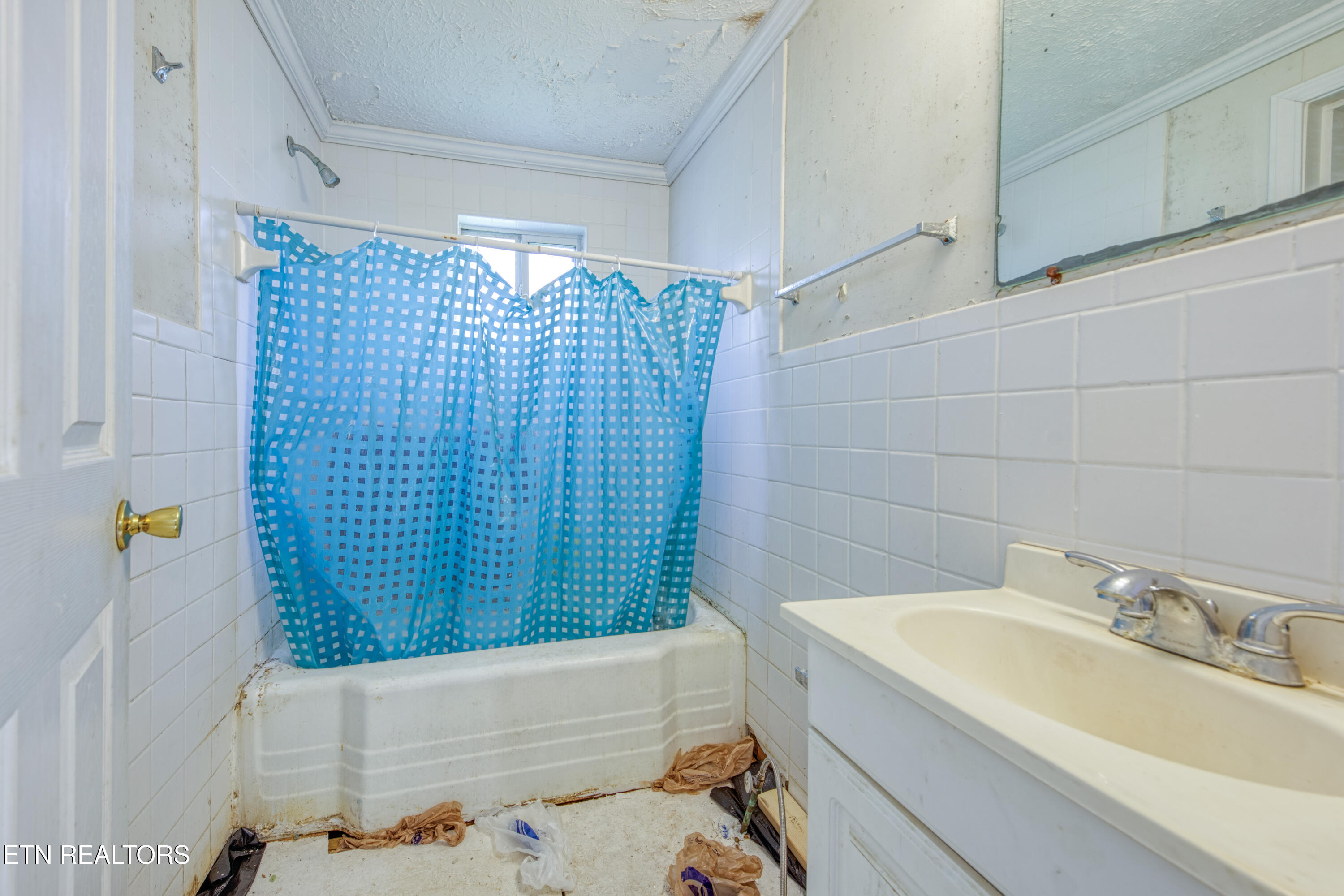 2225 Madison Road Northwest Knoxville, TN 37912 - Photo 7 of 15 0H3A2378_15