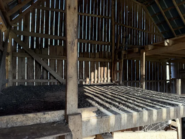 a view of an ocean and beach