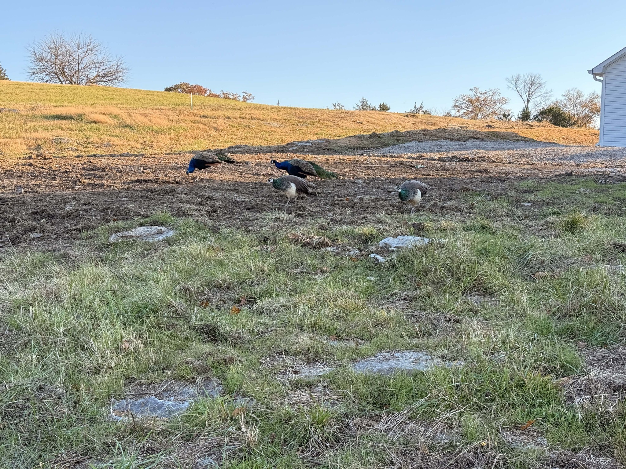 1894 Porterfield Road Readyville, TN 37149 - Photo 15 of 57