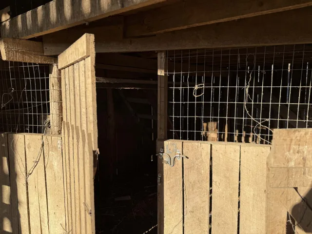a view of a backyard of a house