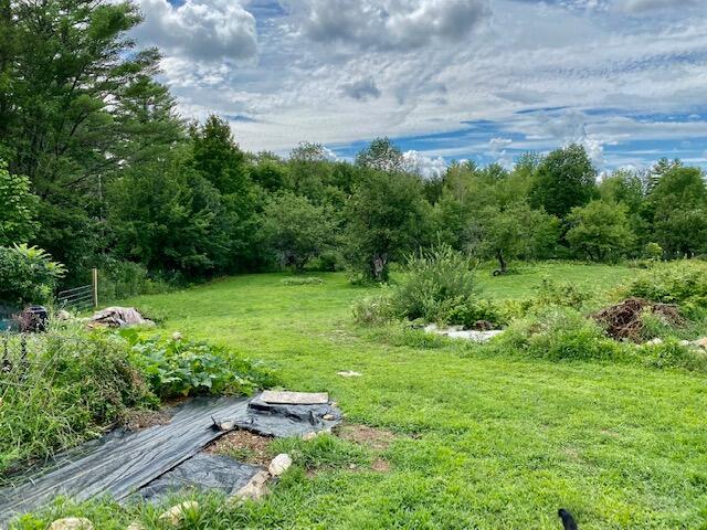816 Tripptown Road Hiram, ME 04041 - Photo 22 of 73 IMG_6053
