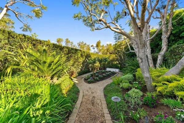 a view of a garden with an outdoor space