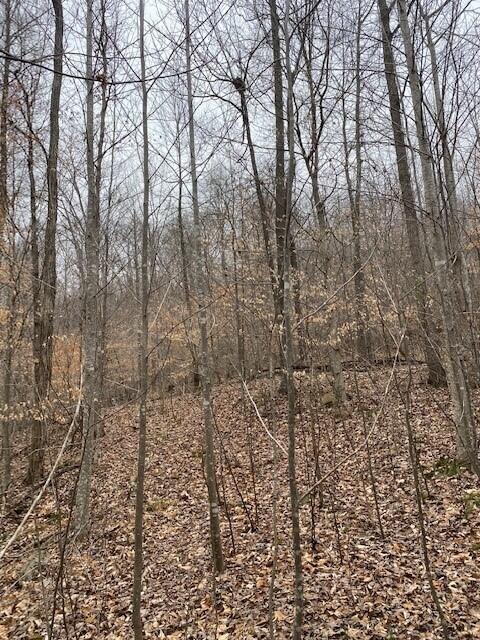 15 River Road, Unit TRACT 15 Decatur, TN 37322 - Photo 1 of 5 20230315194057374686000000-o