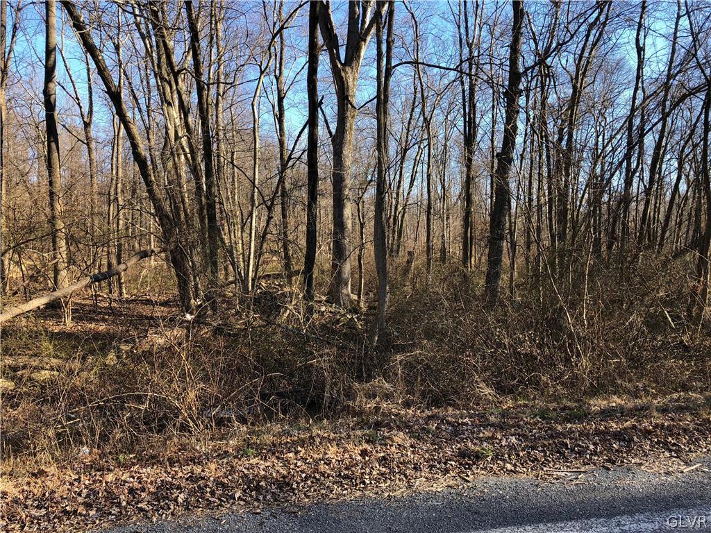Walker Road Macungie, PA 18062 - Photo 3 of 6 Gallery Image 3